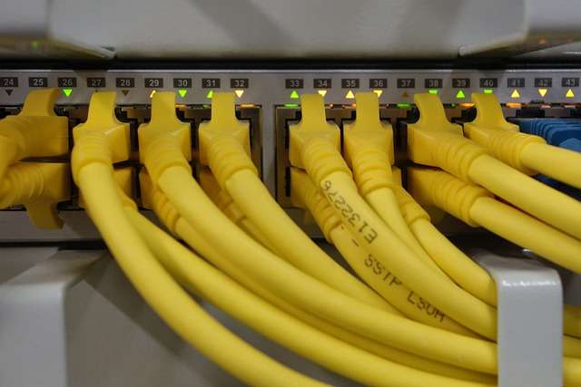 Geel netwerkkabels aangesloten op een switch, illustrerend de infrastructuur voor cloudbeveiliging en informatiebeveiliging, relevant voor ISO 27018 certificering.